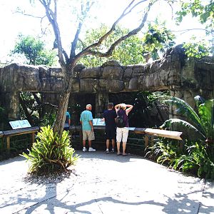 Monkey Exhibits at Lowry Park, 13/10/13