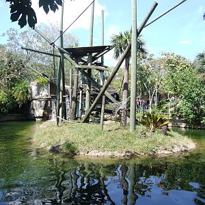 Colobus Exhibit at Lowry Park, 13/10/13