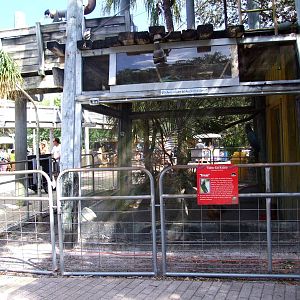 Cockatoo Aviary at Lowry Park, 13/10/13