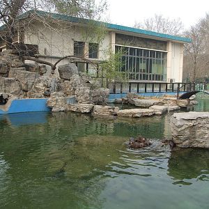 otter exhibit