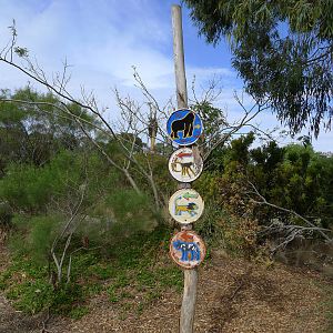 signs on the paths