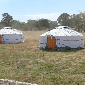 Mongolian Yurts