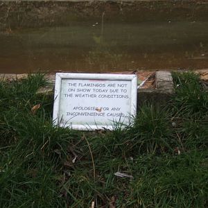 Sign on the Flamingo enclosure