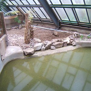 Old crocodile pool in Monkey Tails with water in it