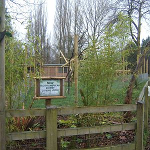 View of new South American primate enclosure