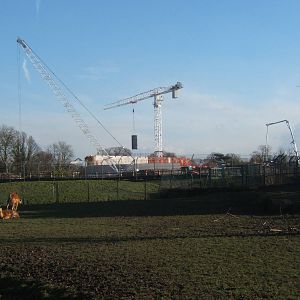 Work in progress on Islands