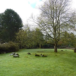 Wallaroo/Wallaby/Emu Exhibit