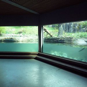 River Otter Exhibit
