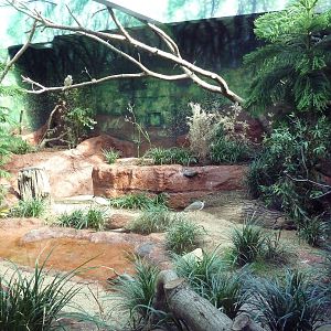Australian Aviary