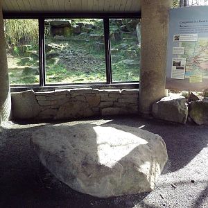 Snow Leopard Exhibit - Viewing Area