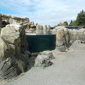 Humboldt Penguin Exhibit