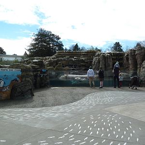 Humboldt Penguin Exhibit