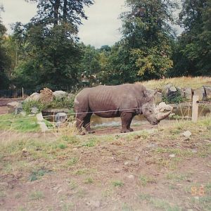 West Midland Safari and Leisure Park, 1996