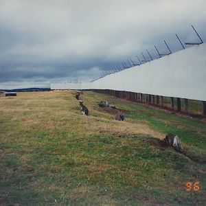 West Midland Safari Park