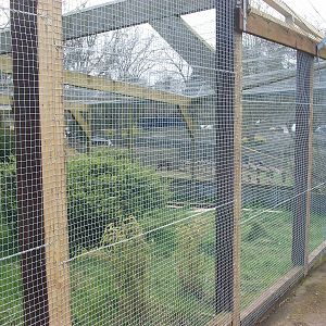 New mesh for the Pheasant pens, 23rd March 2014