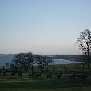 Looking across the cricket ground at the clifftop paddock, 23rd March 2014