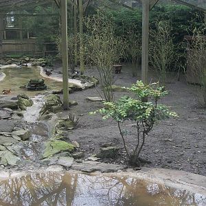 Inside the walk-through aviary, 29th March 2014
