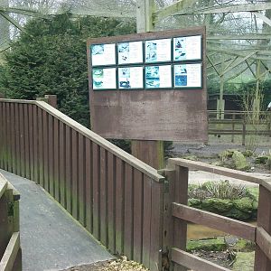 Inside the walk-through aviary, 29th March 2014