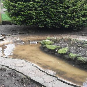 Inside the walk-through aviary, 29th March 2014