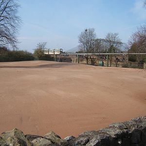 Re-furbed Onager and Bactrian camel Paddock
