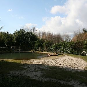 first Malayan tapir exhibit