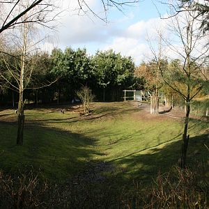 second Malayan tapir exhibit