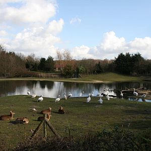 the maidan walktrough exhibit