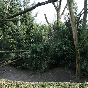 Coati exhibit
