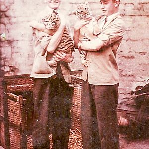 In the yard behind the old Lion House