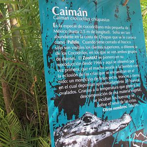 caiman sign