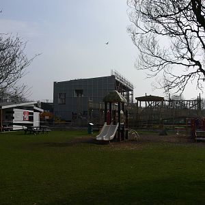 Orangutan construction at Blackpool Zoo, 30/03/14