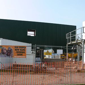Orangutan construction at Blackpool Zoo, 30/03/14