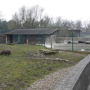 Tapir Exhibit at Blackpool Zoo, 30/03/14