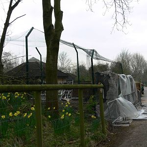 Crane Exhibit at Blackpool Zoo, 30/03/14
