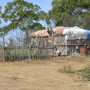 Kenyan hut