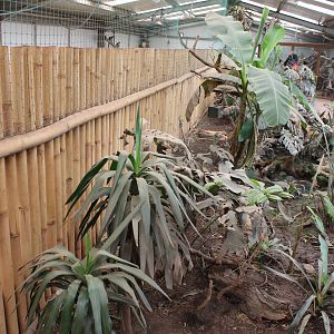 Walk through exhibit!