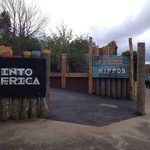 New pygmy hippo enclosure