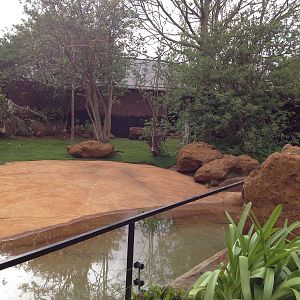 New pygmy hippo enclosure