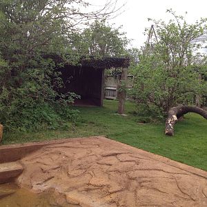 New pygmy hippo enclosure