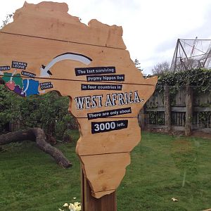 New pygmy hippo enclosure