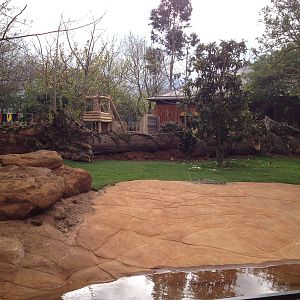 New pygmy hippo enclosure