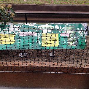 New pygmy hippo enclosure