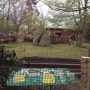 New pygmy hippo enclosure