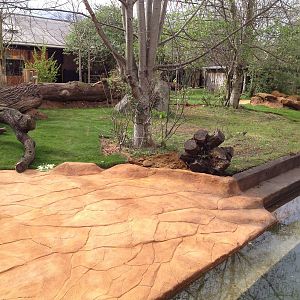 New pygmy hippo enclosure