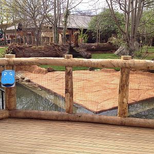 New pygmy hippo enclosure