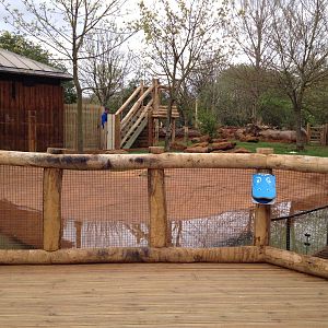 New pygmy hippo enclosure