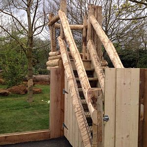 New pygmy hippo enclosure