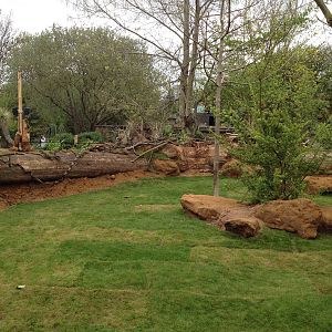 New pygmy hippo enclosure