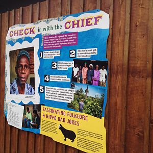 New pygmy hippo enclosure