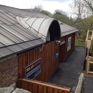 New pygmy hippo enclosure